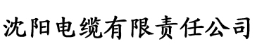 极品家丁品绿帽版电缆厂logo